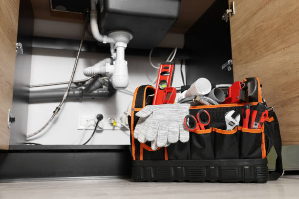 Best Leak Detection Services  in Badger, AK