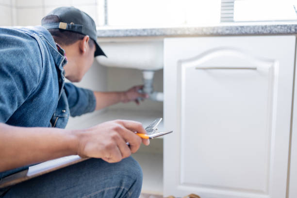Best Plumbing Services Near Me  in Badger, AK