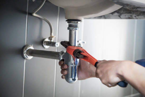 Best Shower Repair Services  in Badger, AK