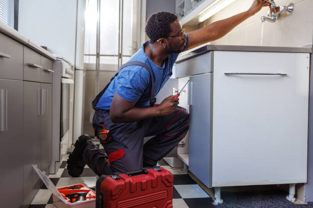 Best Water Softener Installation  in Badger, AK